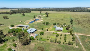 Property 'Glenelg East', 1075 Walbundrie Rd, Culcairn NSW 2660 IMAGE 0