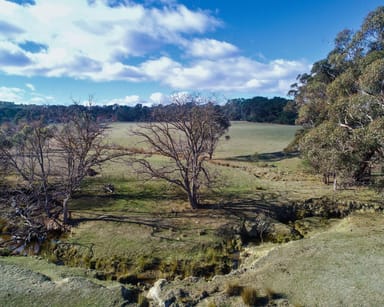 Property 257 Merton-Strathbogie Road, Merton VIC 3722 IMAGE 0