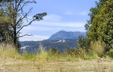 Property 779 Cradle Mountain Road, Erriba TAS 7310 IMAGE 0