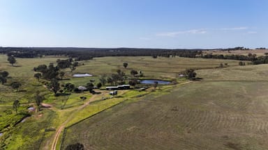 Property 325 Toorawandi Road, Ulamambri NSW 2357 IMAGE 0