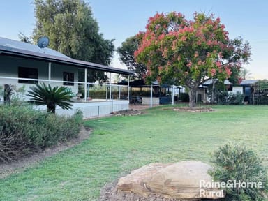 Property 23552 Carnarvon Highway, Surat QLD 4417 IMAGE 0