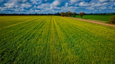 Property 'Snowies' Plemings Lane, COOLAMON NSW 2701 IMAGE 0