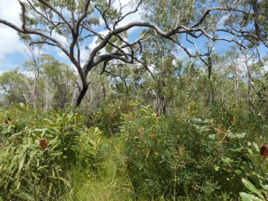 Property Lot 11 Lindy Drive, Rules Beach QLD 4674 IMAGE 0