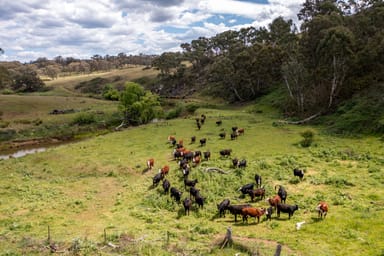 Property Lot 89, 243 White Rock Road, Rylstone NSW 2849 IMAGE 0