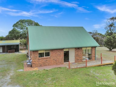 Property 142 Tam O'Shanter Road, LULWORTH TAS 7252 IMAGE 0