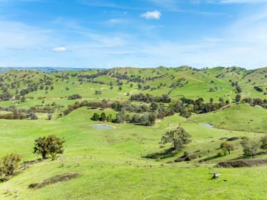 Property 62 Hells Hole Creek Road, Bonnie Doon  IMAGE 0