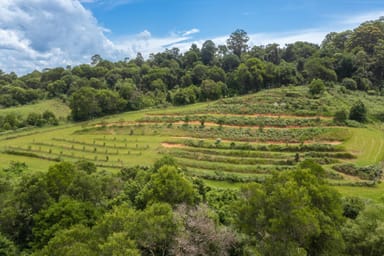 Property 104 Tilbaroo Rd, ELANDS NSW 2429 IMAGE 0