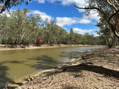 Property Lot 49 Riverview Drive, Barham NSW 2732 IMAGE 0