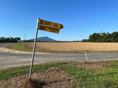 Property Lot 1 Davidson Road & Henry Road, Euramo QLD 4854 IMAGE 0