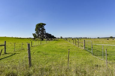 Property 91, Riddoch Highway, MINGBOOL SA 5291 IMAGE 0