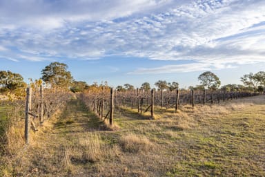 Property Allotment 5 Old Comaum Rd, Penola SA 5277 IMAGE 0