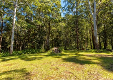 Property 285 Riddles Brush Road, Johns River NSW 2443 IMAGE 0