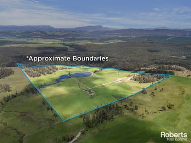 Property Lot 1 Cornelius Road, Sassafras TAS 7307 IMAGE 0
