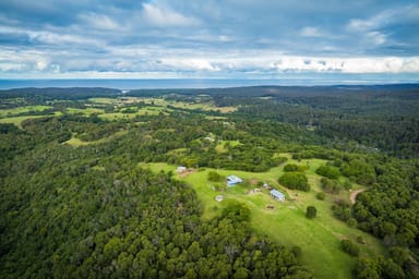 Property 91 Fields  Road, Tanja NSW 2550 IMAGE 0