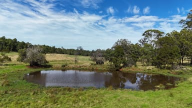 Property 725 Mount Mceuen Road, Wondai QLD 4606 IMAGE 0