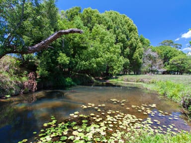 Property 144 Middle Pocket Road, Middle Pocket NSW 2483 IMAGE 0
