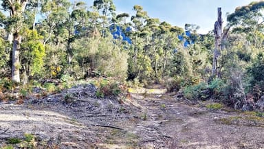 Property Lot 2 McCoys Road, Claude Road TAS 7306 IMAGE 0