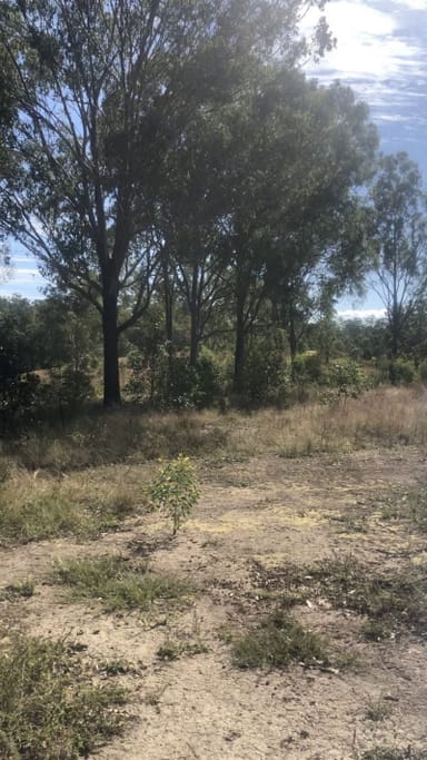 Property L72 Bruce Highway, Monduran QLD 4671 IMAGE 0