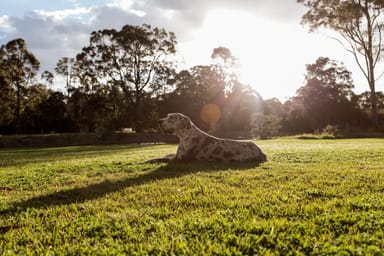 Property 626 Sandy Creek Road, Quorrobolong nsw 2325 IMAGE 0