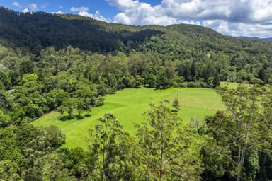 Property 650 Darkwood Road, Thora NSW 2454 IMAGE 0