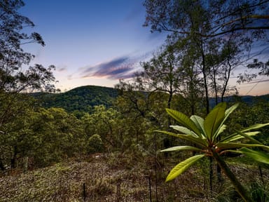 Property 2127 Wollombi Road, Sweetmans Creek NSW 2325 IMAGE 0