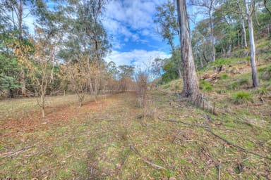 Property 828 Morses Creek Road, Wandiligong VIC 3744 IMAGE 0