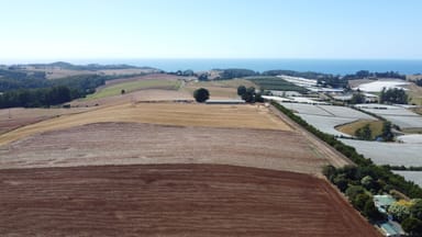 Property 430 Nine Mile Road, SULPHUR CREEK TAS 7316 IMAGE 0