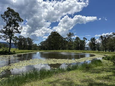 Property 119 Duck Creek Road, Old Bonalbo NSW 2469 IMAGE 0