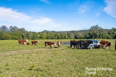 Property 440 Martinsville Road, MARTINSVILLE NSW 2265 IMAGE 0