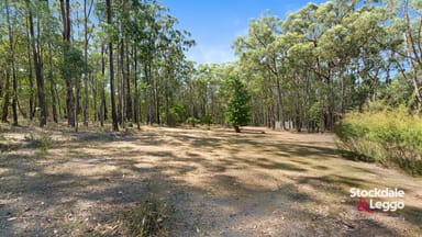 Property 130 Todds Road, Boolarra VIC 3870 IMAGE 0