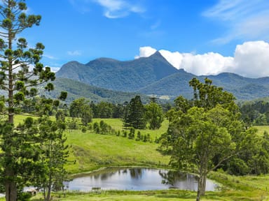 Property 24 Midginbil Road, Murwillumbah NSW 2484 IMAGE 0