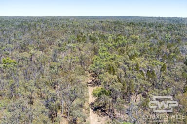 Property 11, Old Stannifer Road, GILGAI NSW 2360 IMAGE 0