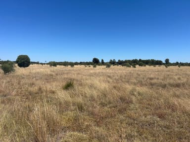 Property Lot 4 Chinchilla-Tara Road, Wieambilla QLD 4413 IMAGE 0