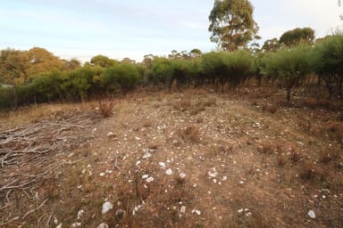 Property 8, Boort-Wedderburn Road, Wedderburn VIC 3518 IMAGE 0