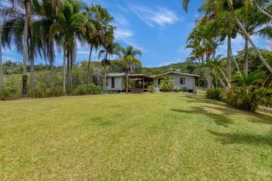 Property 1605 Mossman Mount Molloy Road, Julatten QLD 4871 IMAGE 0