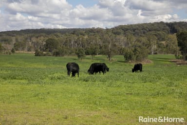 Property Lot 2, 2060 Brayton Road, BIG HILL NSW 2579 IMAGE 0