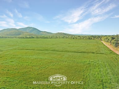 Property 3225 Mareeba-Dimbulah Road, MUTCHILBA QLD 4872 IMAGE 0