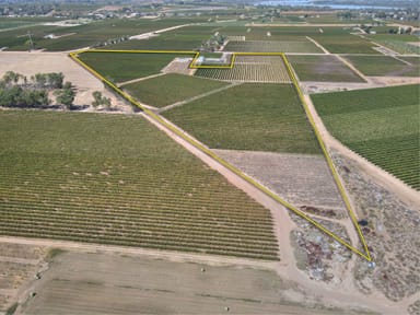 Property Lot 63 Mcfarlanes Lane, Barmera SA 5345 IMAGE 0