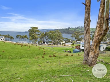 Property 67 Dunn Drive, SURVEYORS BAY TAS 7116 IMAGE 0