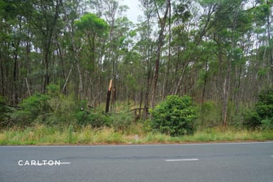 Property Lot 1 Old Hume Highway, Alpine NSW 2575 IMAGE 0