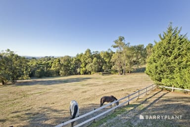 Property 313 Evans Road, Cockatoo VIC 3781 IMAGE 0