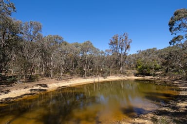 Property 199 Yandoit Township Road, Yandoit VIC 3461 IMAGE 0