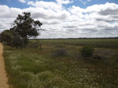 Property KERANG EAST VIC 3579 IMAGE 0