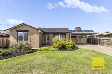 Property 17 Griffith Street, GROVEDALE VIC 3216 IMAGE 0