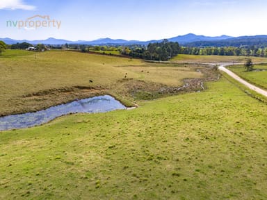 Property LOT11, 938 Wilson  Road, Congarinni North NSW 2447 IMAGE 0