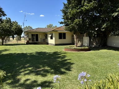 Property 157 Byrne Road, NANNEELLA VIC 3561 IMAGE 0