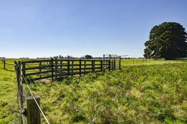 Property 91, Riddoch Highway, MINGBOOL SA 5291 IMAGE 0