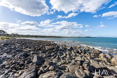 Property 205, 12990 Tasman Highway, Swansea TAS 7190 IMAGE 0