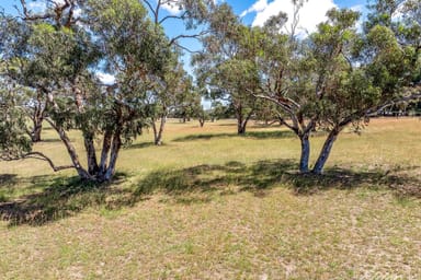 Property Lot 100 Tavener Road, Currency Creek SA 5214 IMAGE 0