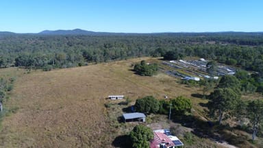 Property 344 Wills Road, ROSEDALE QLD 4674 IMAGE 0